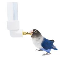Plastic Parrot Water Bottle Dispenser Feeder Cage Hanging Pet Dog Guinea Pig Squirrel Rabbit Drinking Head Pipe Fountain