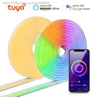 ☜Xianhaochen048906 Tuya Wi-Fi Faixa De Luz Neon Fita RGB Decoração Branco Quente Com Clipes Alexa Home 12V