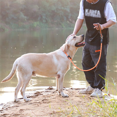1.8m Reflective Slip P Chain Large Dog Leash Collar Walking Lead Explosion Proof Dog Climbing Rope For Medium Big Dog Supplies