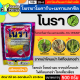 โนรา 500กรัม (โพรพาโมคาร์บไฮโดรคลอไรด์+เมทาแลกซิล) กำจัดไฟท๊อปเทอร่า โรคเน่าเละในหอม โรคเหี่ยว