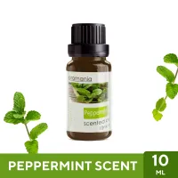 Aroma Oil น้ำมันหอมระเหย กลิ่นเปปเปอร์มิ้นท์ Peppermint ขนาด 10ml - น้ำมันอโรม่า Fragrance Oil ใช้กับเครื่องพ่นไอน้ำ เครื่องพ่นอโรม่า เตาอโรม่า ราคาคุ้ม