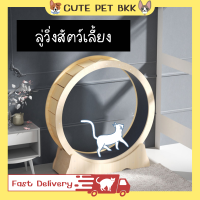 ?Cute Pet BKK? ลู่วิ่งแมว ลู่วิ่งแมวขนาดใหญ่ ลู่วิ่งสำหรับสัตว์เลี้ยง ลู่วิ่งแมวราคาถูก ลู่วิ่ง ออกกำลังกาย กว้าง 83, 91, 102 cm. ราคาถูก