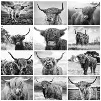 Highland Cow Canvas Painting Black And White สไตล์นอร์ดิก Wall Art For Living Room Home Decor