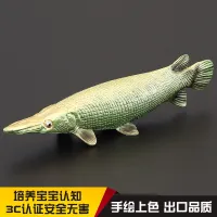 Childrens solid simulation animal model toy ornament ornamental fish alligator gar ferocious freshwater gift