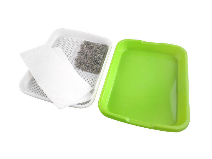 ถาดพลาสติกเพาะต้นอ่อนพร้อมฝาปิด-ผักไมโครกรีน-microgreen-tray-สีเขียวขนาด-240x305x50-มม-โดยไม่ใช้ดิน-ทานตะวัน-โต้วเหมี่ยว-ไควาเระ-ถั่วงอก