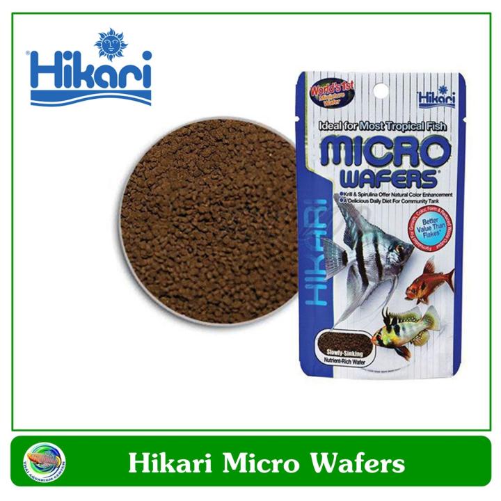 hikari-micro-wafers-อาหารสำหรับปลาขนาดกลางและเล็ก-ชนิดจมน้ำช้า-ขนาด-45-กรัม