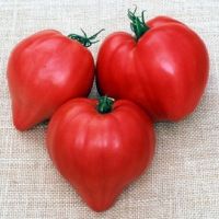 เมล็ดพันธุ์ มะเขือเทศหัวใจ (Pink Oxheart Tomato Seed) บรรจุ 40 เมล็ด  คุณภาพดี ราคาถูก ของแท้ 100%