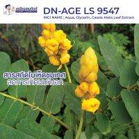 DN-AGE LS 9547 สารสกัดใบเห็ดชุมเทศ ลดการเกิดผมหงอก/ต่อต้านริ้วรอยจากแสงแดด ขนาด 10g-1kg