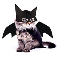 Pet Cat Dog Bat Wings Mask Set Funny Mask Headgear Cat Halloween Cosplay Party Hat Headgear Pet Chest And Back Clothes Set S M