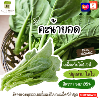 เมล็ดพันธุ์คะน้ายอด 500 เมล็ด อัตราการงอก95% ปลูกง่าย โตไว(มีของแถมเป็นเมล็ดผักกวางตุ้งทุกออเดอร์)