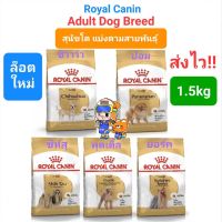 Royal Canin ชิวาว่า ปอม พุดเดิ้ล ยอร์ค ชิห์สุ ปั๊ก ดัชชุน เวสตี้ แจ็ครัสเซลล์ Chihuahua Pomeranian Poodle York Shih Tzu Pug Dachshund Westie Jack Russell1.5kg