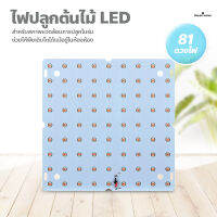 ไฟปลูกต้นไม้ LED ไฟช่วยต้นไม้โตเร็ว ไฟเลี้ยงต้นไม้  Full Spectrum LED Grow Light