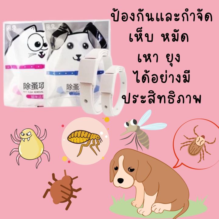 ปลอกคอป้องกันเห็บ-หมัด-ไร-ยุง-สัตว์เลี้ยง-น้องหมาน้องแมว