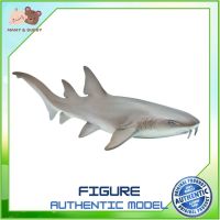 Safari Ltd. : SFR200629 โมเดลสัตว์ Nurse Shark Model Action Figure Cartoon แอกชั่น ฟิกเกอร์ ของเล่น ของสะสม ของเล่นเด็ก ตุ๊กตา Mamy and Buddy