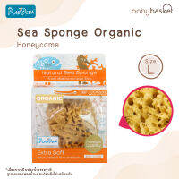 ฟองน้ำอาบน้ำแบบธรรมชาติสำหรับเด็ก Punapena Sea Sponge Honeycomb Organic - L จาก Punapena