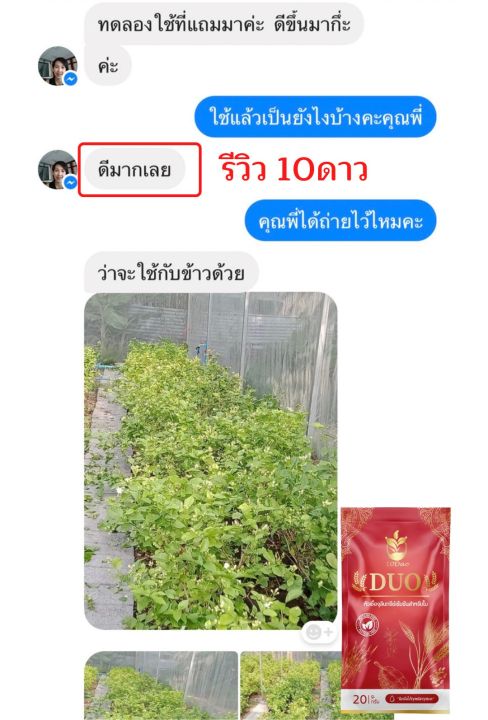 10ดาวduo-สูตรใหม่-3ซอง-หัวเชื้อจุลินทรีย์เข้มข้นสำหรับใบ-บำรุงใบ-เพิ่มผลผลิต-10-ดาว-ดูโอ้-หัวเชื้อจุลินทรีย์เข้มข้นสำหรับใบ