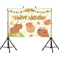 Boys Girls Lovely Cartoon Anniversary Photo Background happybirthday Colored background for childrens large birthday party Banners Streamers Confetti