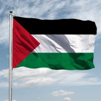 PLE PS Palestine Flag 90X150cm Hanging Polyester Fabrics Gaza Palestinian National Flags For Decoration