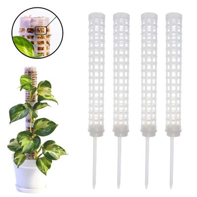 1Set Practical Plant Climbing Frame Plant Trellis Supporting Stick Plastic Moss Pole Plant Pot Stand Green Dill Vine Garden Accessories
