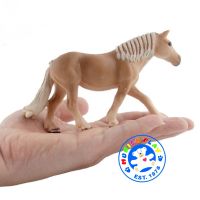 Munich Play - โมเดลสัตว์ Horse ม้า Harvard Mare ทอง ขนาด 14.50 CM (จากหาดใหญ่)