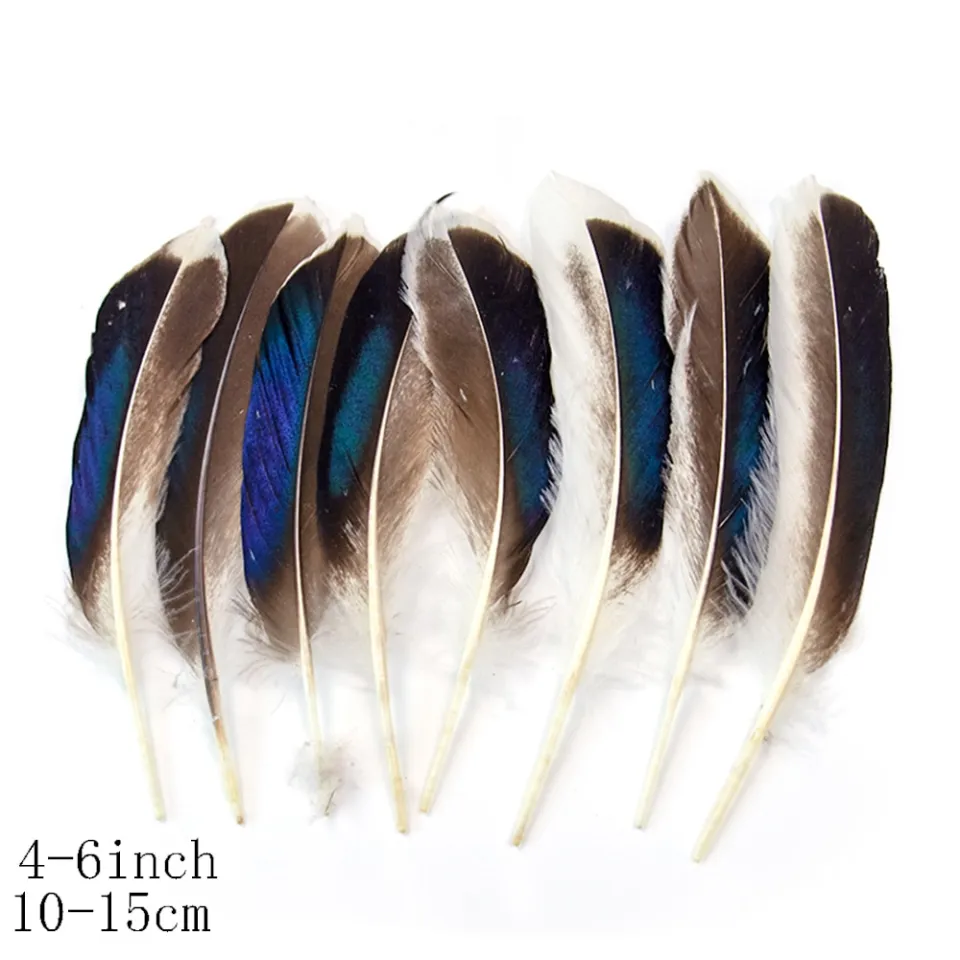 Wedding deals feathers wholesale