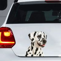 Car Sticker Dalmatian Dog Pet Animal Waterproof Vinyl Decal Car Accessories Decor Pegatinas Para Coche  #V1362 Bumper Stickers Decals  Magnets