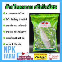 ข้าวโพดหวาน  สวีทไวท์ 25 F1 5000เมล็ด ขนาด 1 กิโลกรัม หมดอายุ3/4/2567 ลอตใหม่ ข้าวโพด ศรแดง เมล็ดสีขาว รสชาติเหนึยว นุ่ม หวาน ขายง่าย ตลาดต้องการ