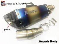 ปลาย Ak shorty ไดร์สีรุ้ง พร้อมสลิปออนตรงรุ่น Ninja/Z250-300CC