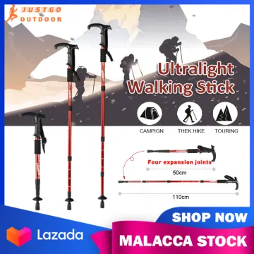 Hiking stick  anti-shock