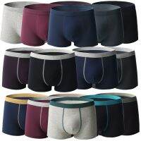 【YF】 Large Size Mens Male Bigger Cotton Shorts Antibacterial Fabric Soft Breathable L-6XL