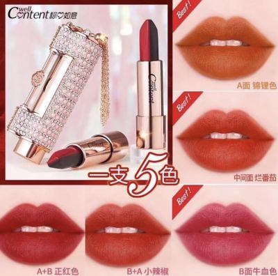 Well Content NO.5876 ลิปดำ 5 สี แท่งเดียวทาได้ 5 สี สีสวยสดใสติดดี กันน้ำ แท่งดีไซน์แบบแม่กุญแจ สวยหรูน่าใช้