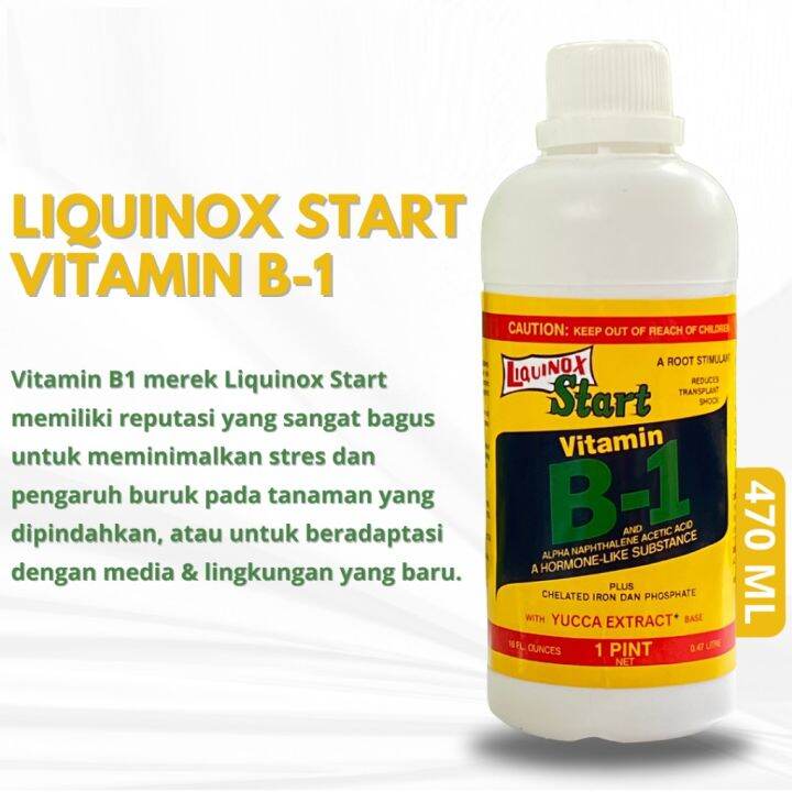 Pupuk Liquinox Start Vitamin B1 470 Ml | Lazada Indonesia