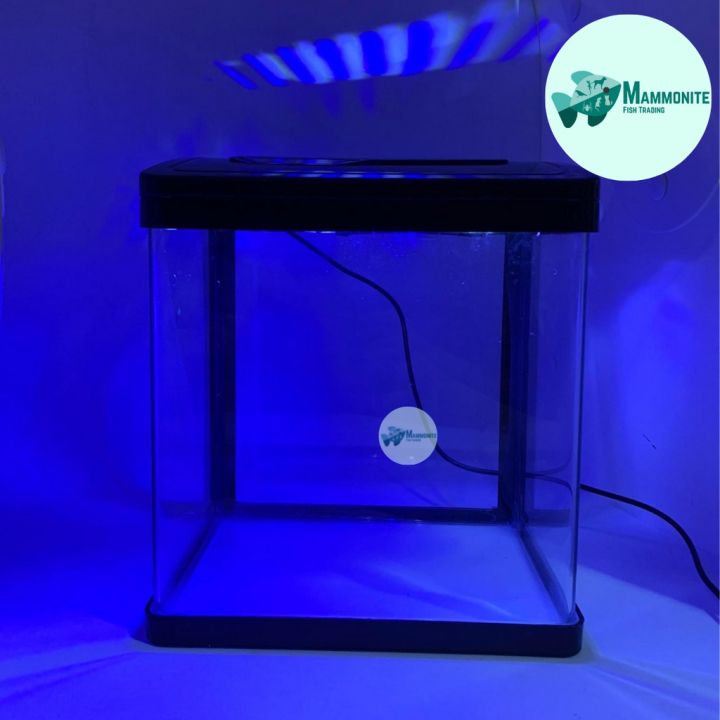 Aquarium Fish Tank Built-In LED Lamp with Filter Pump Infinity PY-240 ...