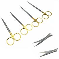 Double Eyelid Scissors With Gold Handle Stainless Steel Fine Sharp Instruments Beauty Scissors