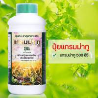 ปุ๋ยน้ำแกรมม่าทู ขนาด 500 ซีซี (ใบเขียวเข้ม รากเดินดี ดอกดก พืชโตไว) สูตรเร่งการเจริญเติบโต สมบูรณ์ทั่วแปลง