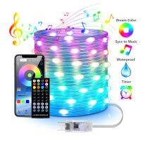 Bluetooth led string WS2812 RGBIC Music Mircrophone Street garland Christmas lights decoration holiday lighting RGB room decor