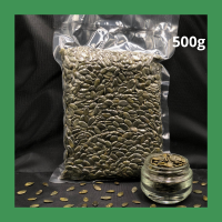 เมล็ดฟักทอง ดิบ ออแกนิค ไม่ขัดสี 500กรัม Organic pumpkin seeds 500g