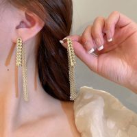 【HOT】 2022 New Design Ear Tassel Earrings Personality Fashion Wedding Jewelry Birthday Gifts