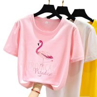 9 Styles Summer Womens Oversized Casual Short Sleeve T-shirt Korean Style Shirts Women Clothes