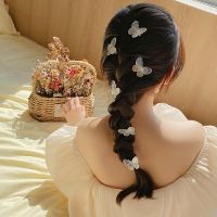 Fashion Hair Claw Cute Sweet Hair Claw Girls Hair Accessories Mini Hair Claw Butterfly Hair Claw Hair Claw