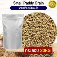 ข้าวเปลือกมะเขือ Small Paddy Grian อาหารนก กระต่าย หนู กระต่าย กระรอก ชูก้า และสัตว์ฟันแทะ (กระสอบ 30KG)