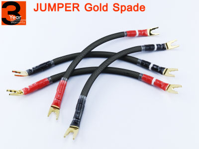 ชุดอัพเกรด jumper Tran Spade Gold ยกระดับเสียงขึ้นหลายเท่าครับ / ร้าน All Cable