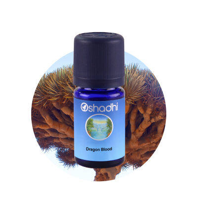 Oshadhi Dragon Blood Essential Oil น้ำมันหอมระเหย (10 ml)