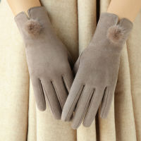 2021 Winter Gloves Woman Plus Velvet Padded Warm Touch Screen Outdoor Windproof Suede Thermal Cycling for the Cold Black