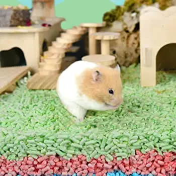 Hamster bedding clearance alternatives