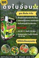 ชุดดึงใบอ่อน สูตร2  ชุดคู่ 2 ขวด