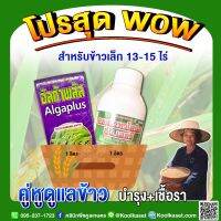 คู่หูดูแลข้าว บำรุง เชื้อรา ช่วงข้าวเล็ก 13-15 ไร่ รักษาโรคใบไหม้ ใบจุด บำรุงข้าวใบเขียว ต้นแข็งแรง คูลเกษตร KK300