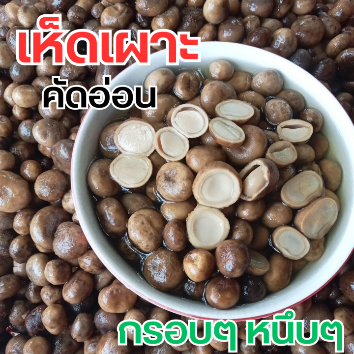 เห็ดเผาะ-คัดอ่อน-ต้มแล้ว-แพคสูญญากาศ-500-กรัม