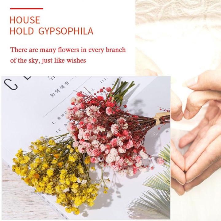 ti9p-งานฝีมือ-diy-วัสดุธรรมชาติ-ตกแต่งงานแต่งงาน-ของตกแต่งบ้าน-มินิ-babysbreath-ช่อดอกไม้ประดิษฐ์ธรรมชาติ-ลำต้นของพืช-ดอกไม้จริง