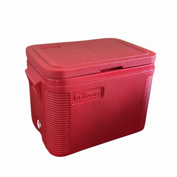 ICEFLOWER Saver 2 Caser Plastic Cooler Box 58 Liters Lazada PH